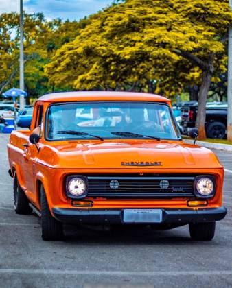 CHEVROLET C10 4.1 CS 8V GASOLINA 2P MANUAL CHEVROLET C10 4.1 CS 8V GASOLINA 2P MANUAL